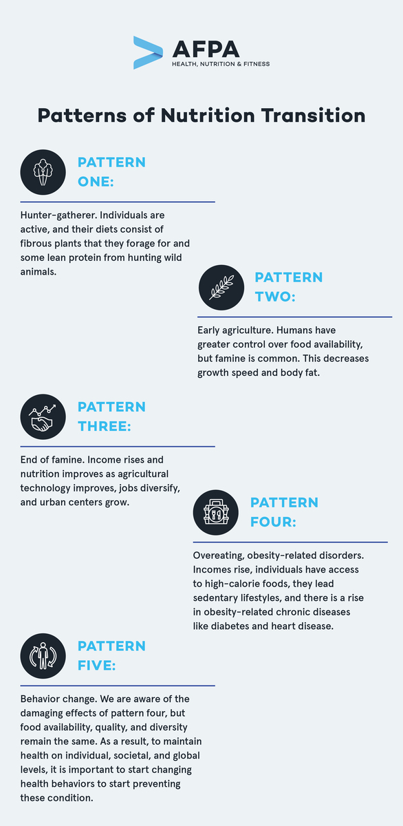 preview-full-Patterns of Nutrition Transition_V1